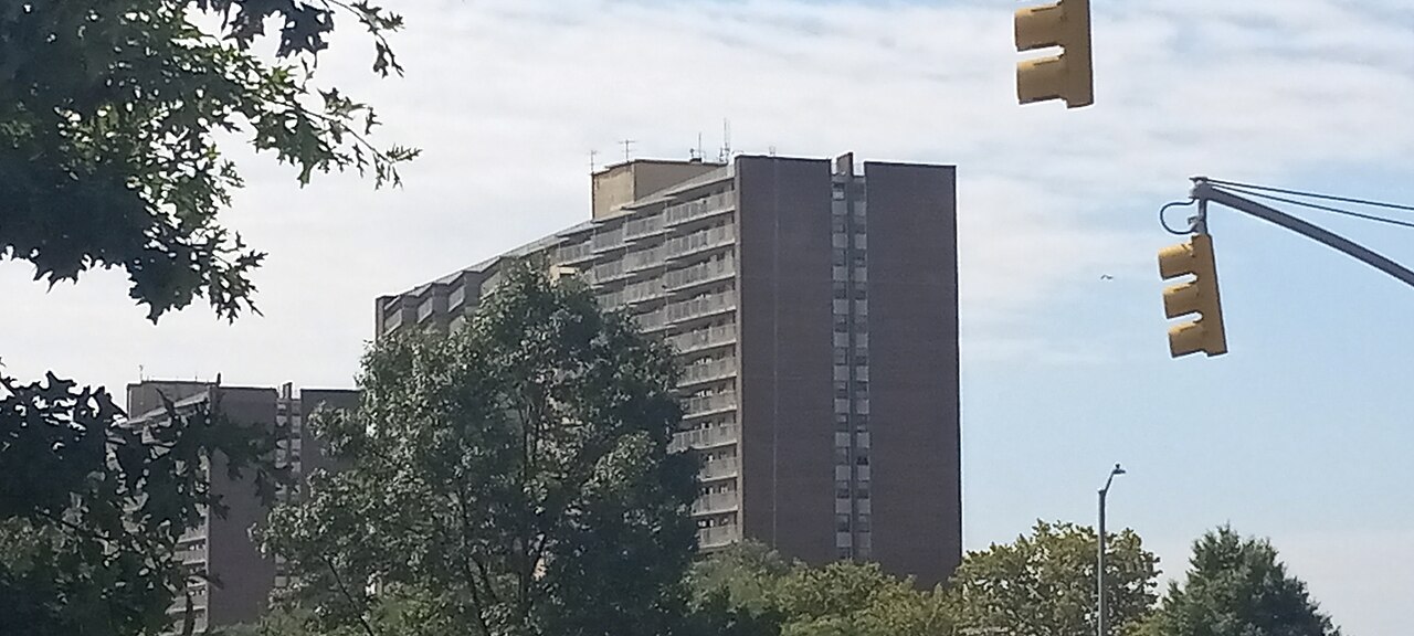 The brick towers of Linden Plaza in East New York, Brooklyn, rising above street trees at a traffic light.